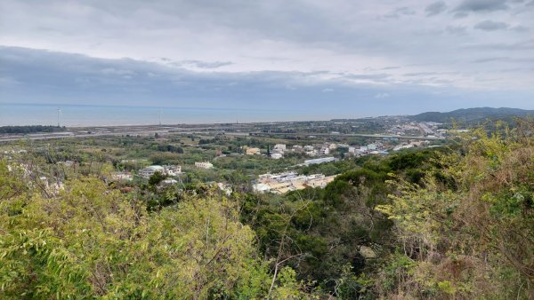 療癒森呼吸，阿里山三日行2764299