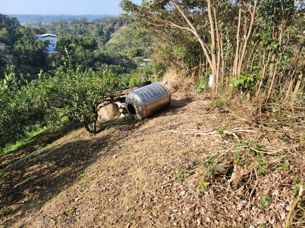 2026022面桶寮山小分林山大分林山3013046