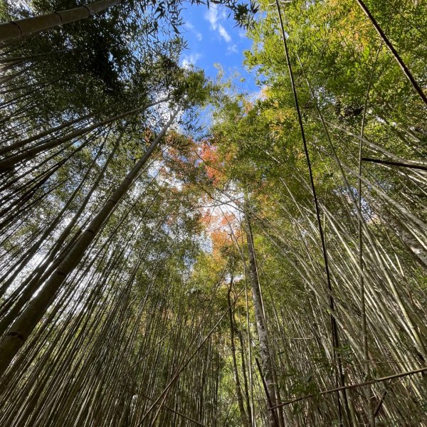 20241221 霞喀羅二天一夜露營賞楓2711955