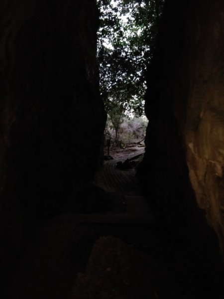 社頂生態保護區1343659