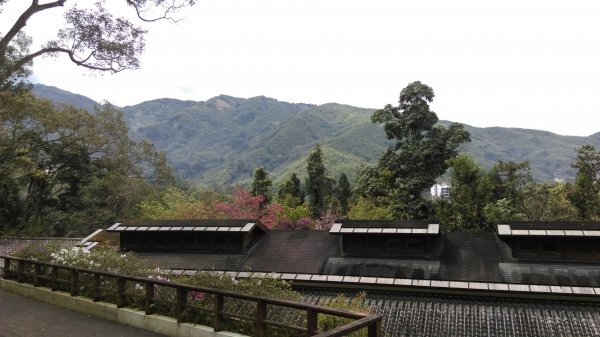 全台最美的森林小學~南投內湖國小468213