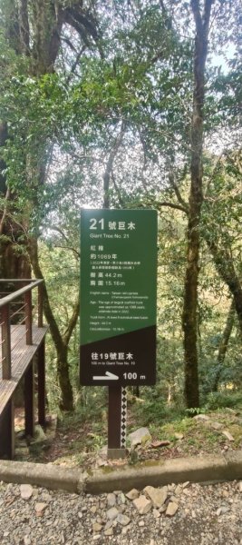 拉拉山國家森林遊樂區2752257