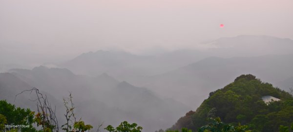 #山羌 #親子檔 #二格山 #日出 #雲海 #晨霧 4/113033436