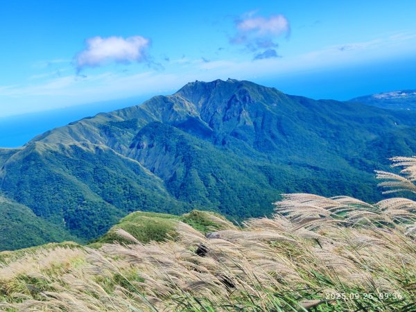 七星山二進2894960