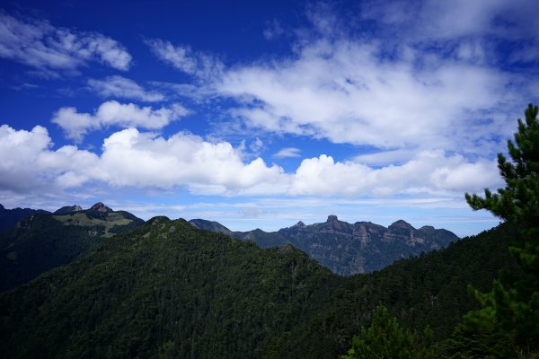 【44個理查】【桃山神木】2285548