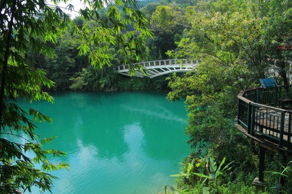 日月潭環湖步道 向山202010011159289