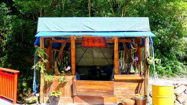 中坑古道東山西山2896460