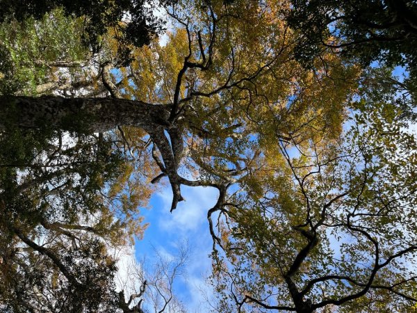 20221112_北得拉曼山2762256