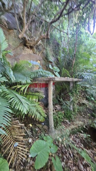 20251002竹子湖三-七窟餐廳-六窟溫泉-廢棄餐廳石佛(消失)-大石閣(騎車爬山)2900655