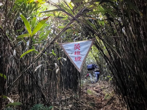 小觀音山群峰474904