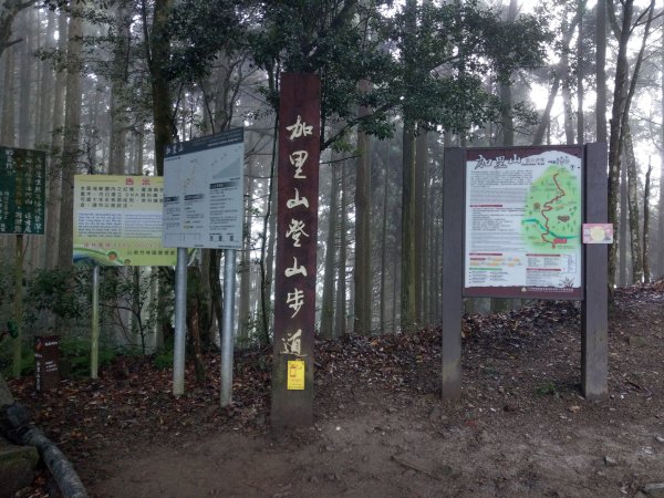 台版富士山「加里山」(小百岳#34) 2020/12/191424864