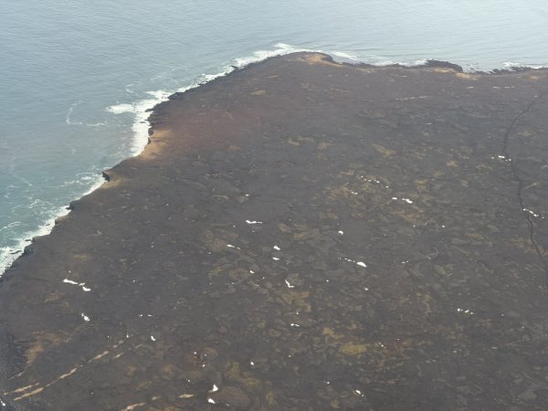 [紐約馬之行-50] 2025_1109~11 回到冰島/美國2952660