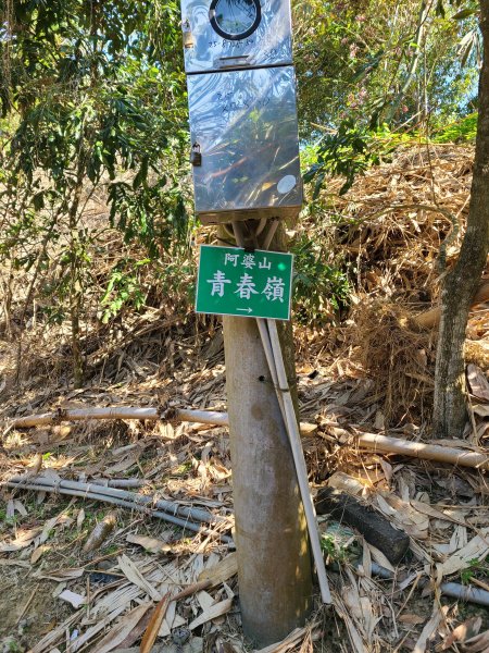 走了一個大O2723398