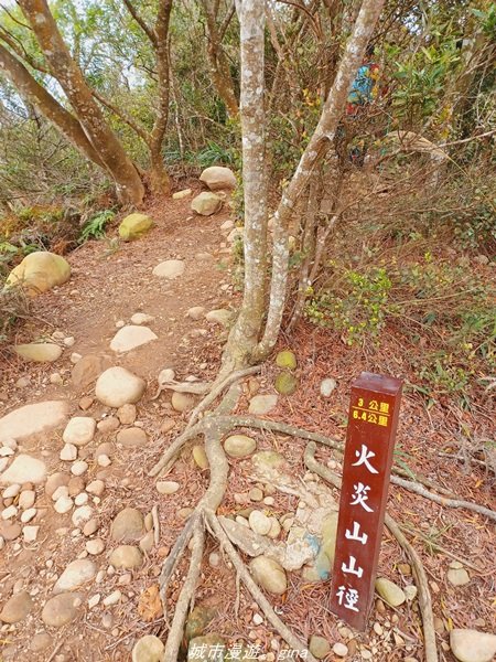 【苗栗。 三義】台灣百大必訪步道。 編號38小百岳-火炎山步道1572293