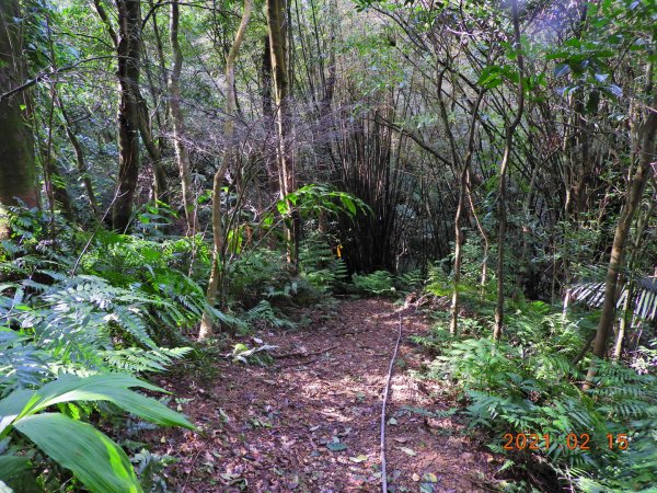 新北 雙溪 上內平林山、下內平林山1273166