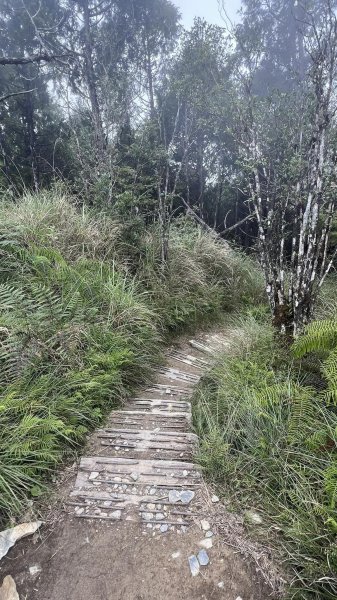 太平山翠峰湖環山步道2551636