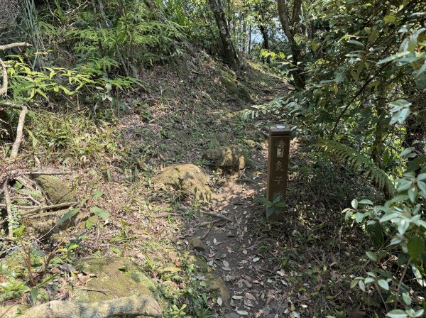 [微笑山線_第八段] 2026_0411 二格山系_筆架山北峰3035122