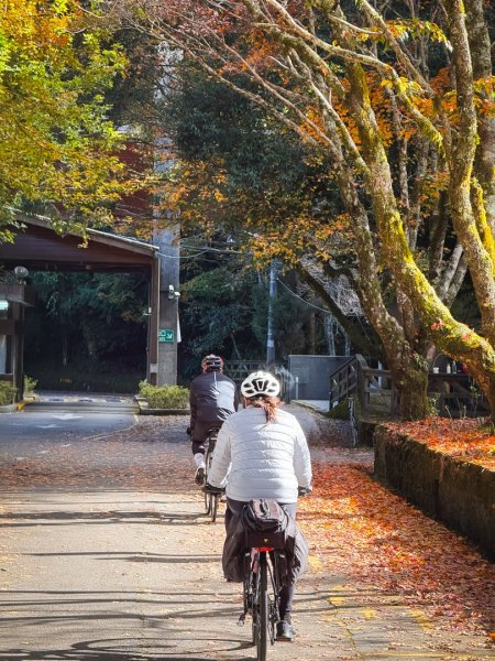 鳶嘴稍來步道賞楓季 ，大雪山門票優惠到12/31！2969592