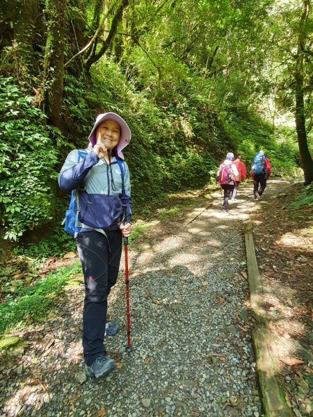 【阿里山】特富野古道1093702