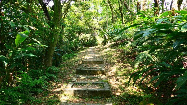 五堵獅頭山3043586
