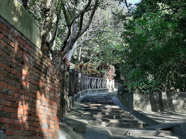 關渡親山步道｜雨過天晴 讓我們看雲去1434445