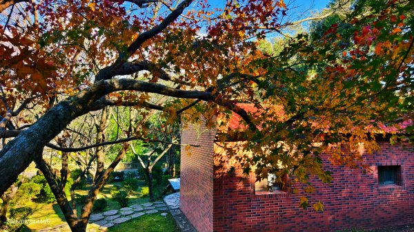 #花卉試驗中心 #永公路500巷 #平菁街42巷 #原住民公園 #士林官邸 1/42976544