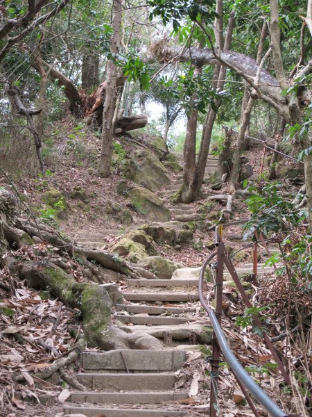 南觀音山步道955734