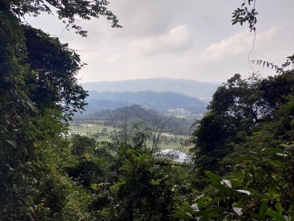 關西赤科山-赤科山南峰-東獅頭山O形1621509