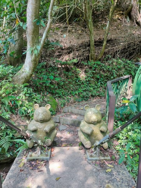 茶香環狀步道群（小天空、健康、壺穴步道、茶展中心步道）2135884