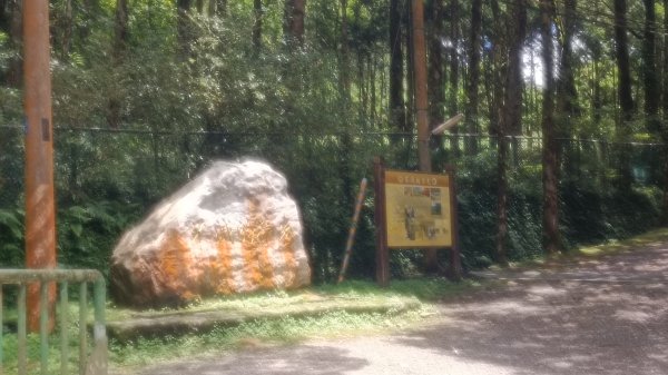 明池國家森林遊樂園1747639