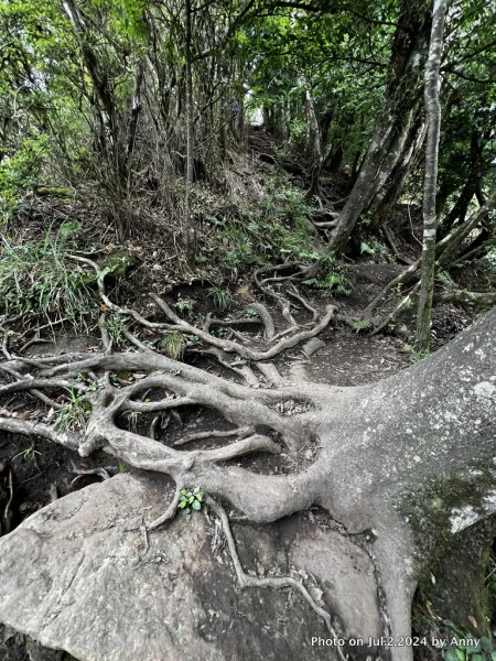 加里山好精彩2547400