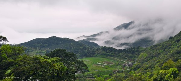 陽明山追雲趣 #天空之城 #石門嵩山梯田 #鳶尾花 #老梅綠石槽 4/5-63030186