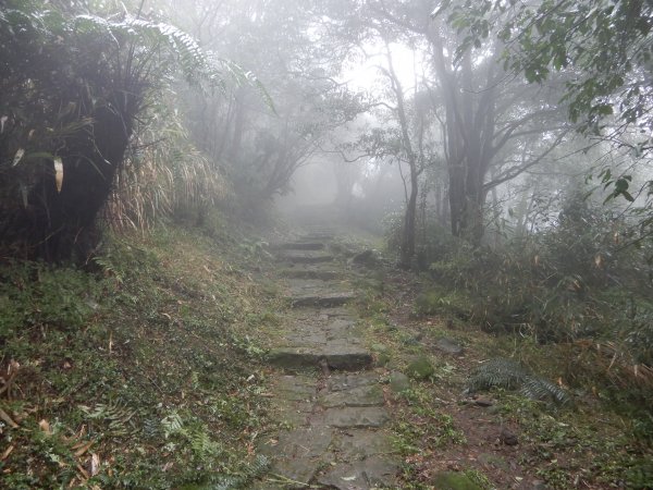 台北大縱走之七星主東峰536666