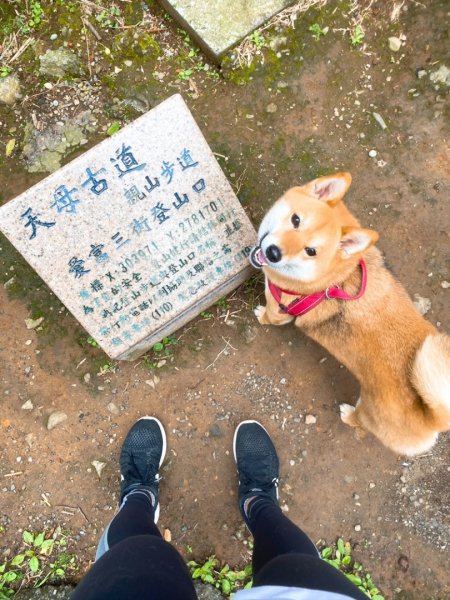 天母水管路古道1068116