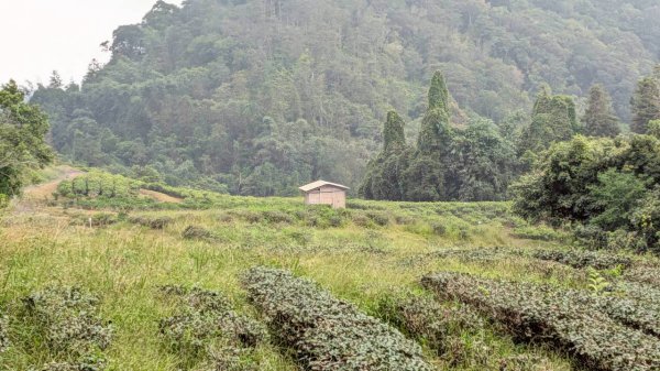 貓囒山步道2928528