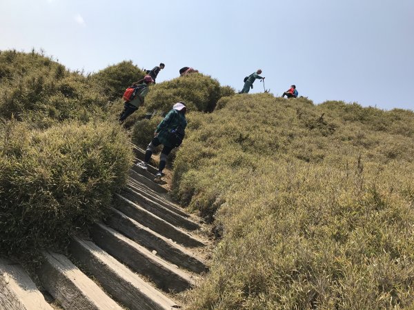 110年4月3日南投 合歡山東峰步道1433083