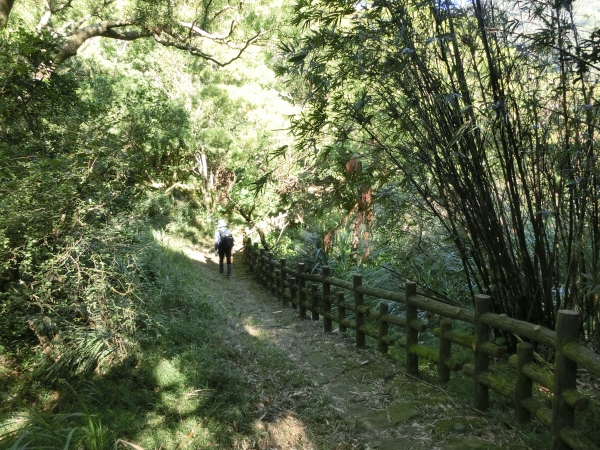 中正山．青楓步道．竹子湖93775