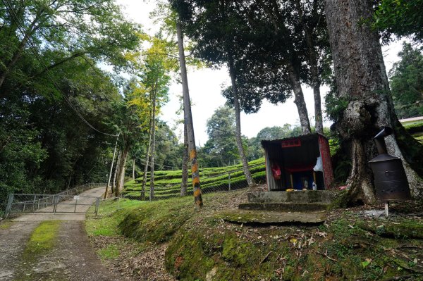 南投 仁愛 北東眼山、中央東眼山2623598