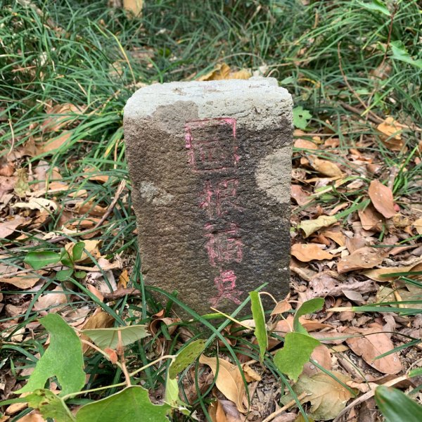 20250405屏東內南世山-西霧里乙山2757782