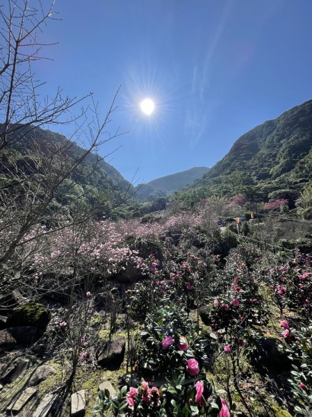 楓樹湖古道3012066