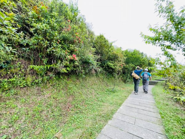 淡蘭中路（暖暖車站-十分車站）1685525