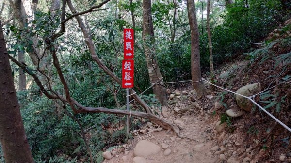 苗栗火炎山737398