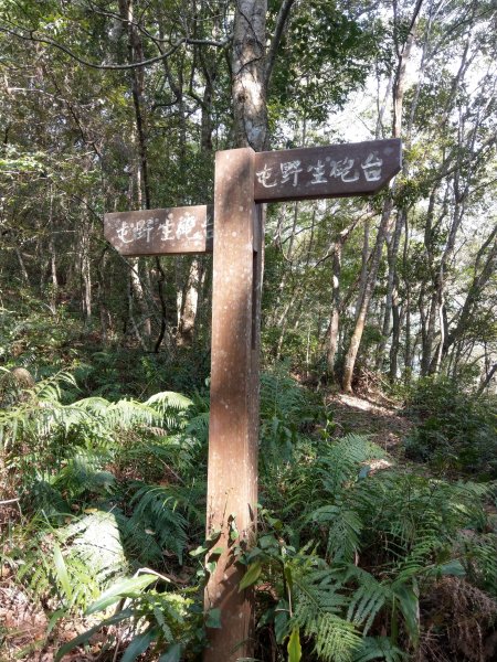 新竹軍鑑岩吊橋找野溪泡湯變登山健行