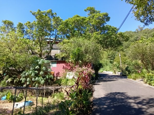 汐止區白雲古道+白雲寺O型2911983