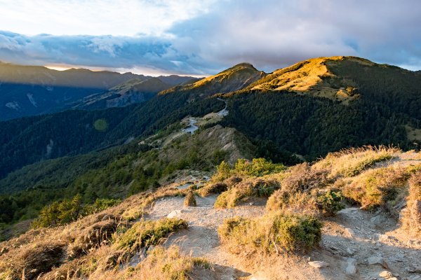 合歡北峰-圓柏的視野466844