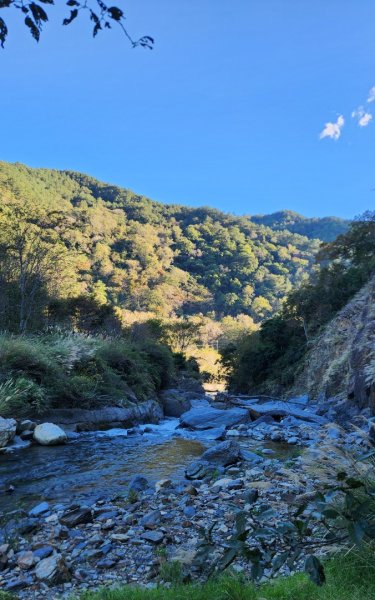 【中級山縱走】羅馬縱走，走進神木的夢幻童話森林世界2943258