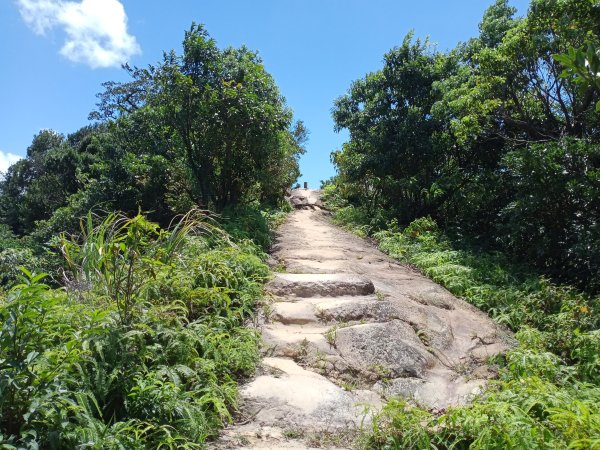 汐止區翠湖步道+北港二坑遺址+老鷲尖南峰+老鷲尖+內溝山北峰+油桐嶺+內溝山+翠湖步道P字走