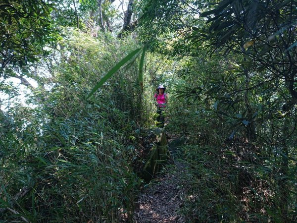 那結山（嘎色鬧部落線）893452