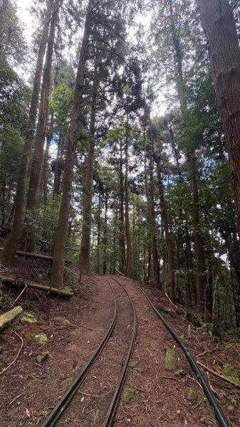 林鐵遺跡2878341