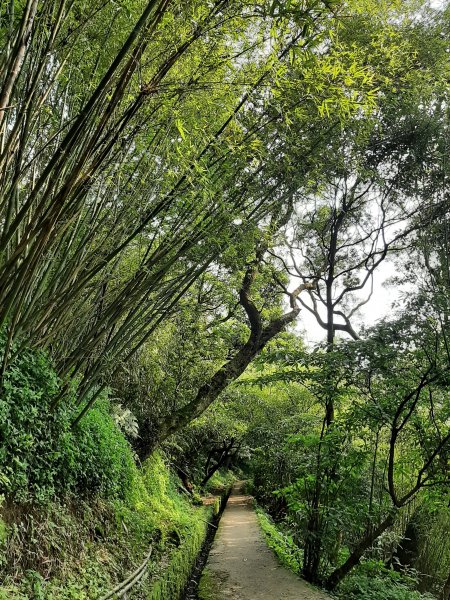 走遍陽明山：擎天崗系｜景遠心自闊，潺潺溪水聲洗去一身憂2113812